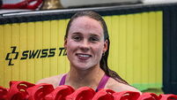 Ellen Walshe 11/4/2026