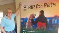 Clonakilty entrepreneur rebrands pet memorial website