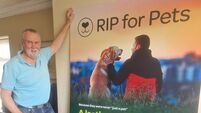 'It’s like RIP.ie, but for pets': Clonakilty entrepreneur rebrands pet memorial website