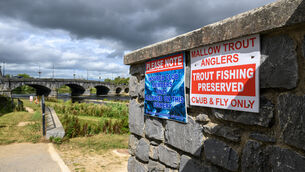 <p>The River Blackwater was among those worst affected, with flows at one monitoring point just 37% of the river’s monthly average. Picture: Dan Linehan.</p>