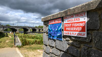 Cork's Blackwater among rivers most affected by dry weather