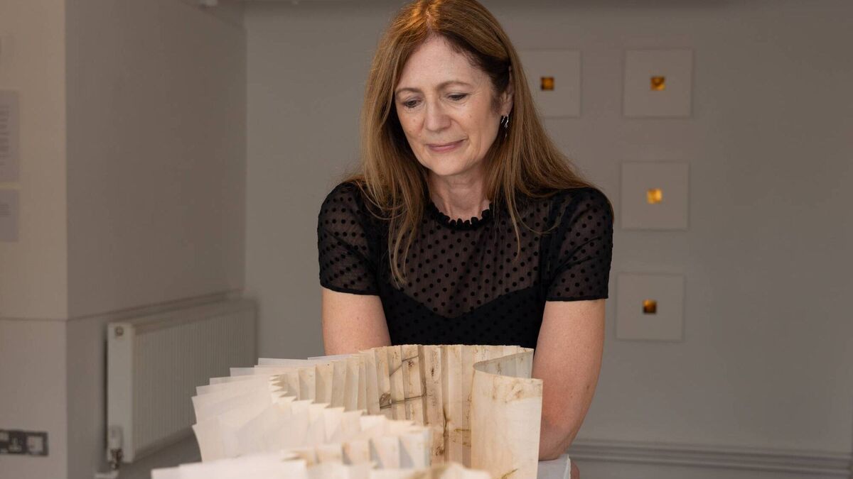 West Cork art exhibition on Sherkin Island explores our natural world