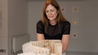 West Cork art exhibition on Sherkin Island explores our natural world