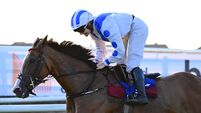 Maxine O’Sullivan retires in style after leading Dream On Baby to Tramore triumph Maxine O’Sullivan retires in style after leading Dream On Baby to Tramore triumph