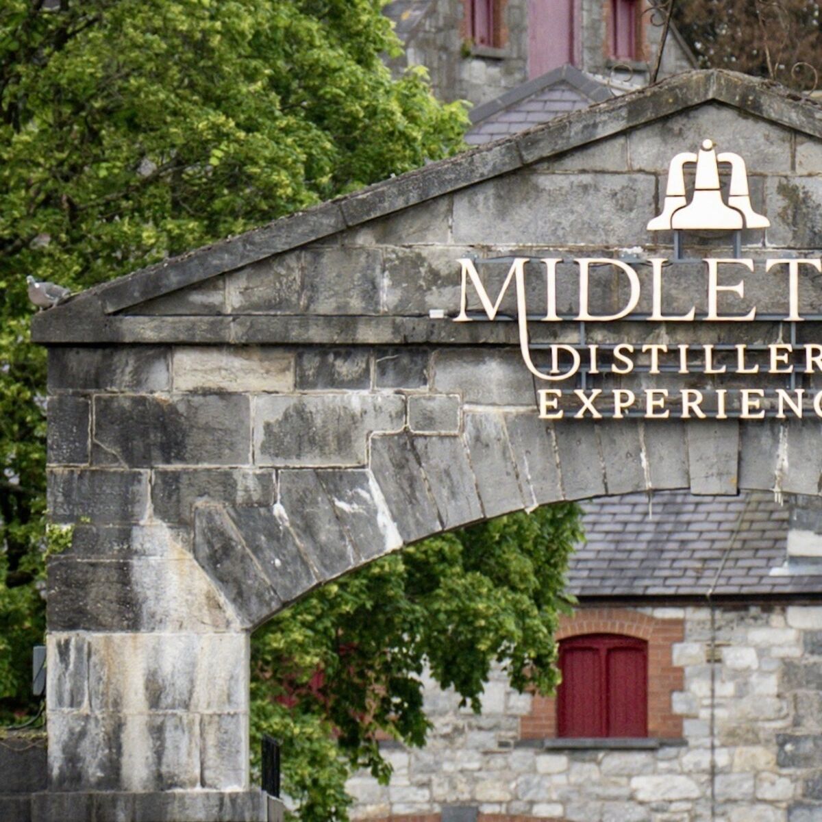 echolive.ie - Feast of events lined up for Midleton food festival next month