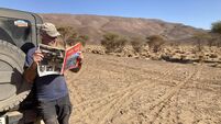 Pictures: Holly Bough reader pictures from around the world 