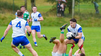 Premier SFC: Relegation fears gone, Knocknagree can test their mettle against Castlehaven