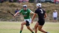 John Horgan on Cork hurling: Picking the matches worth catching across a key weekend for clubs
