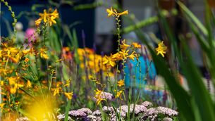 <p>Met Éireann has said while it has been cloudy for the majority of this morning, there will be some sunny spells throughout this afternoon. Picture: Chani Anderson.</p>
