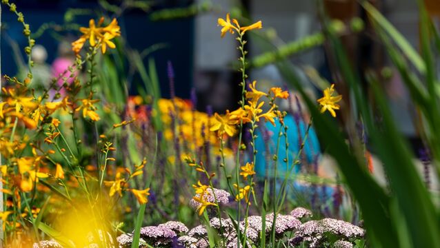 <p>Met Éireann has said while it has been cloudy for the majority of this morning, there will be some sunny spells throughout this afternoon. Picture: Chani Anderson.</p>