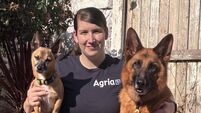 My Career: ‘Each role helped bring me to the job that I enjoy today’