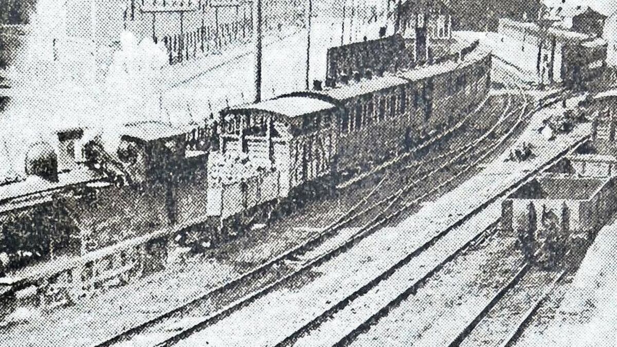 Tom MacSweeney: A 1932 photo drew a lot of attention as Heritage Week opened in Monkstown