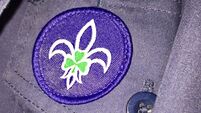 Passage West scouts win two gold awards at national competition