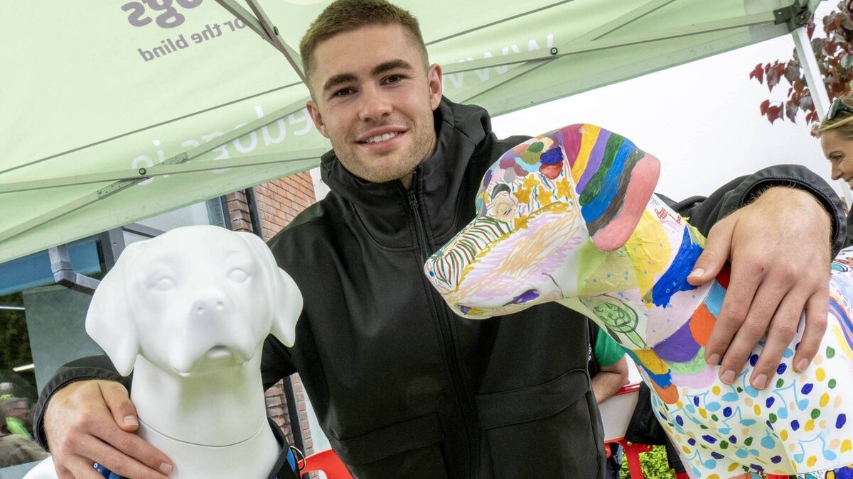 Irish Guide Dogs marks 50th anniversary with Cork art trail 