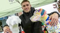 Irish Guide Dogs marks 50th anniversary with Cork art trail 