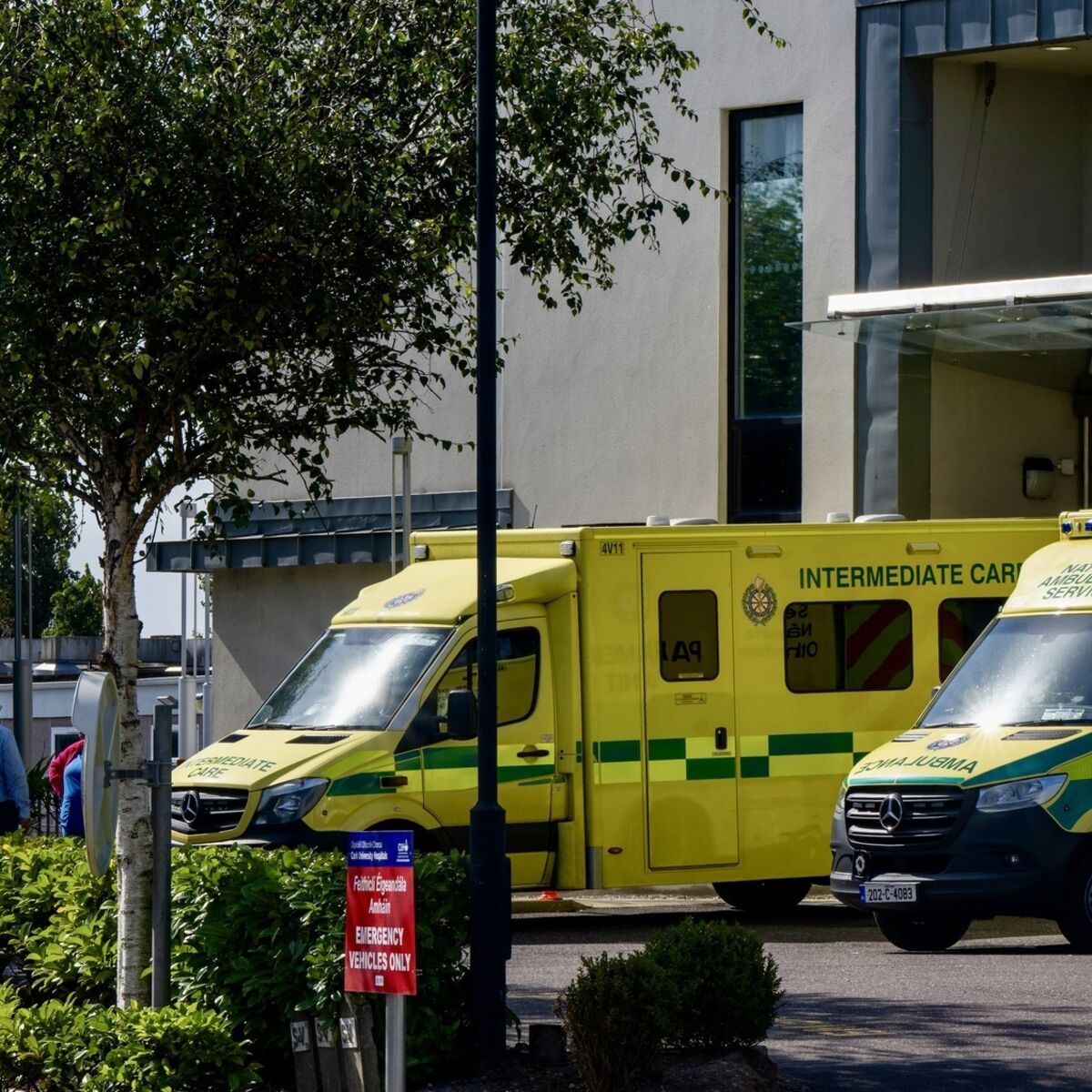 CUH boss says hospital is 'unsafe' as over 1,000 roles vacant