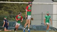 Ballinora and Ballyhea/Milford set up novel U16 Premier 1 hurling final 