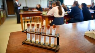 <p>More than 70,400 students across the country received their Leaving Cert results on Friday morning, which became available online at 10am.</p> <p>More than 70,400 students across the country received their Leaving Cert results on Friday morning, which became available online at 10am.</p>