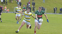 Big crowd expected as Castlehaven meet Clonakilty in Carbery U21 final