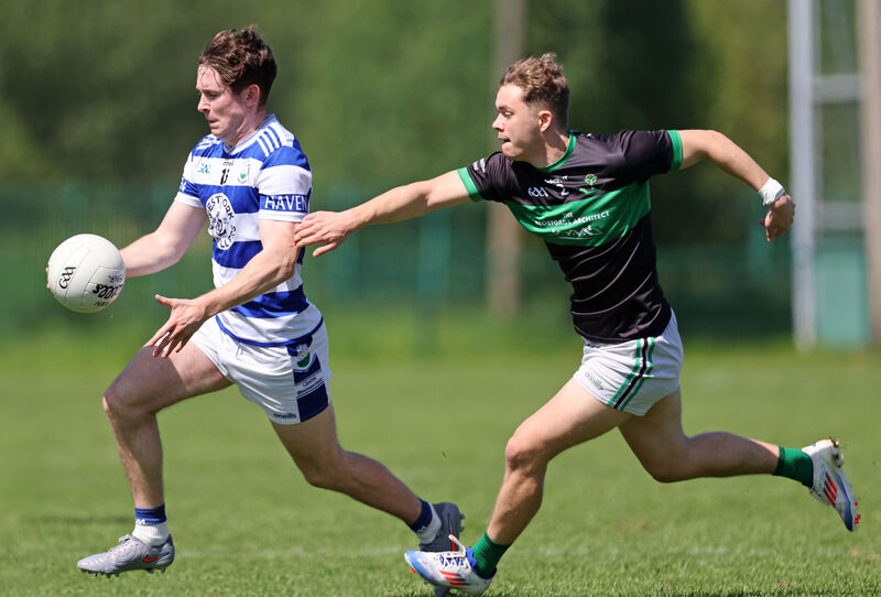 Micheál Maguire will be a key player for Castlehaven. Picture: Jim Coughlan