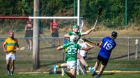 Premier SHC: Sarfields up and running again after Newtownshandrum win