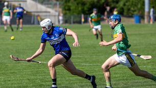 <p>Sarsfields’ Colm McCarthy on the run during Saturday's Co-op SuperStores Premier SHC game against Newtownshandrum in Mallow. Picture: Chani Anderson</p> <p>Sarsfields’ Colm McCarthy on the run during Saturday's Co-op SuperStores Premier SHC game against Newtownshandrum in Mallow. Picture: Chani Anderson</p>