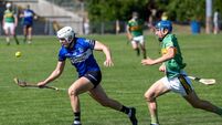 Premier SHC: Johnny Crowley satisfied as Sarfields win first 'knockout' game