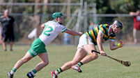 Premier SHC: Glen Rovers battle back to keep campaign alive