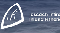 Inland Fisheries chair said agency 'still standing - even if not unscathed' after Oireachtas hearing Inland Fisheries chair said agency 'still standing - even if not unscathed' after Oireachtas hearing