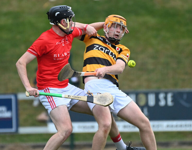 Na Piarsaigh's Ross O'Sullivan scored a total of 0-10 against Fermoy. Picture: Eddie O'Hare