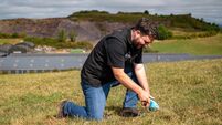 Cork farmers counting the cost of drought