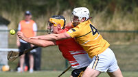 With their season on the line, Na Piarsaigh found their best form