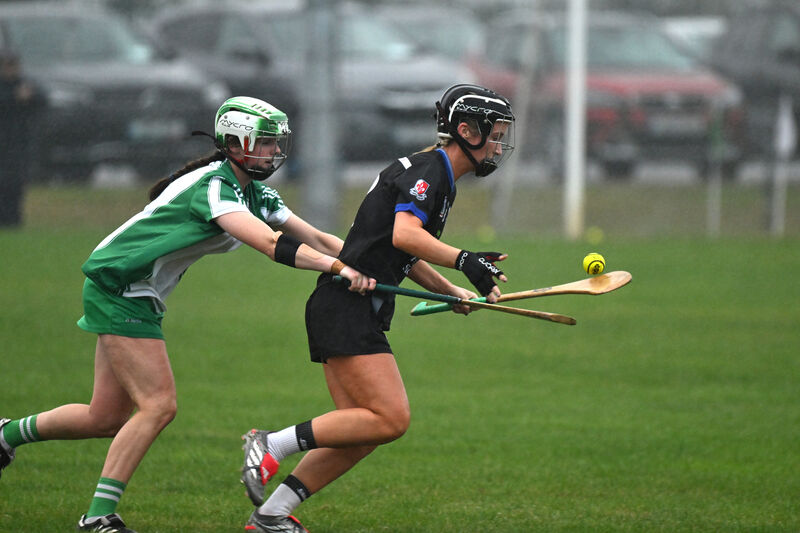 Éanna Duff, Aghabullogue, tackles Rachel Roche, Sarsfields in the SE Systems Cork County Senior Camogie Championship game at Castle Road. Picture: Larry Cummins