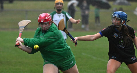 Cork Camogie: Anna Foley goal and Lisa O'Riordan penalty save key as Aghabullogue stun Sars
