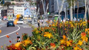 <p>Cork city is set to be dry and cloudy today, with temperatures reaching 21C by late afternoon. Picture: Chani Anderson </p>