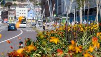 Met Éireann forecasts mixed conditions for Cork over the coming days 