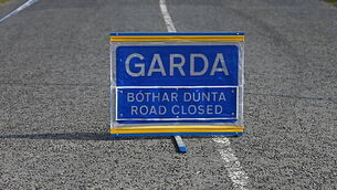 Woman (20s) dies in single-vehicle crash in Dublin