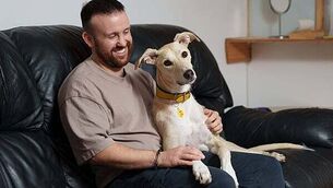 Irish owners say companionship is the thing they love most about dogs Irish owners say companionship is the thing they love most about dogs