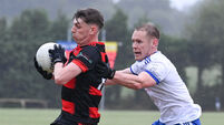 Ryan O'Keeffe is showing his value to Newmarket