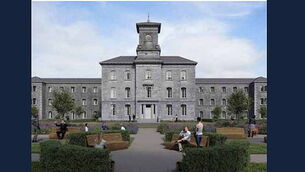 Plans to renovate psychiatric hospital stalled due to concerns over bat disturbance