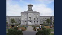 Plans to renovate psychiatric hospital stalled due to concerns over bat disturbance