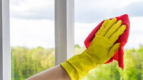 Window cleaning. A young woman sprays a cleaner on glass. Housework concept.
