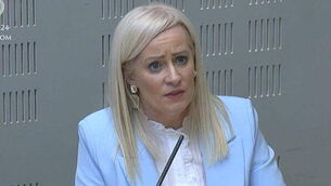 Fianna Fáil minister ‘categorically’ disagrees with Burnham on unity poll