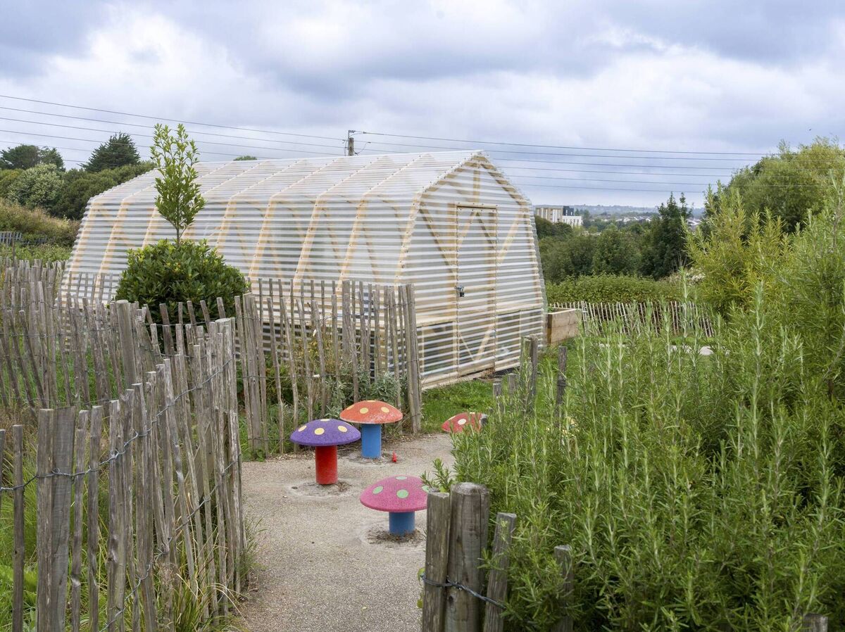 The sensory garden 