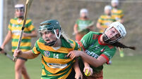 Cork Camogie: Cliona O'Callaghan on form as Blackrock bounce back against Ballinora