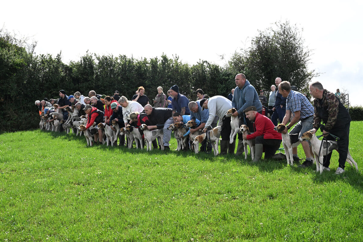  Start of the senior race at the Donal O'Mahony Memorial Draghunt, sponsored by Butler Technologies. Picture: Larry Cummins