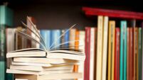 Stack of books on a shelf, multicolored book spines.
