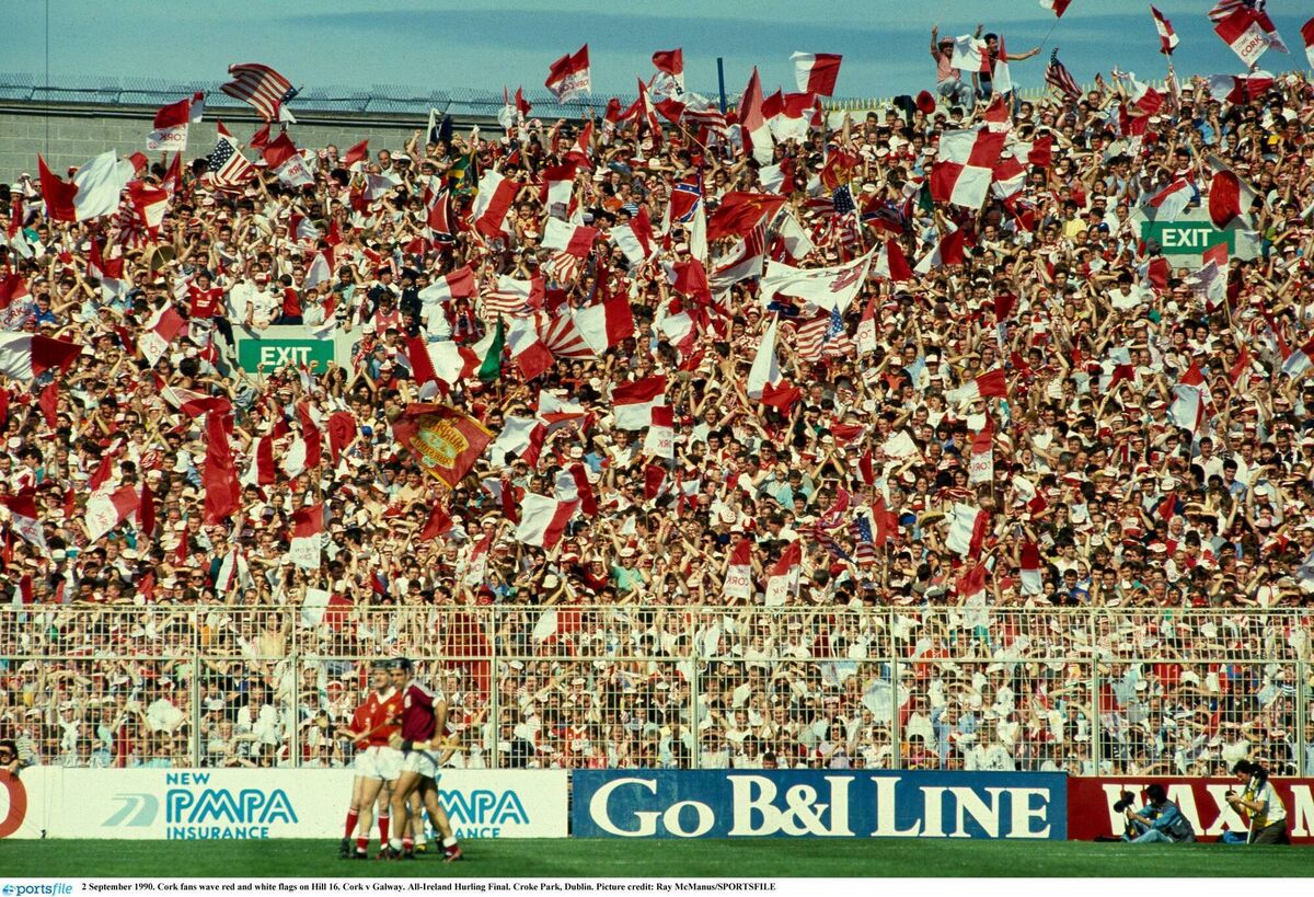 Cork fans wave their flags on Hill 16. Picture: Ray McManus/Sportsfile