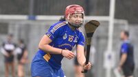 Barrs into camogie championship quarter-finals after win over Glen
