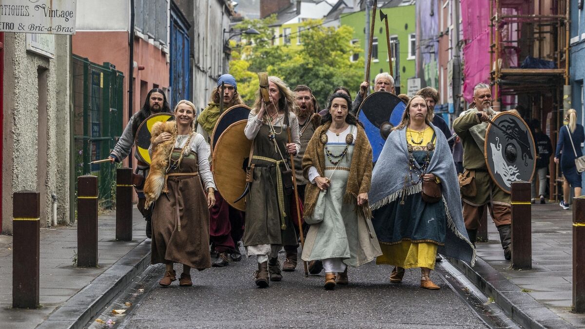 New EU project shines the spotlight on Cork's vibrant Viking heritage